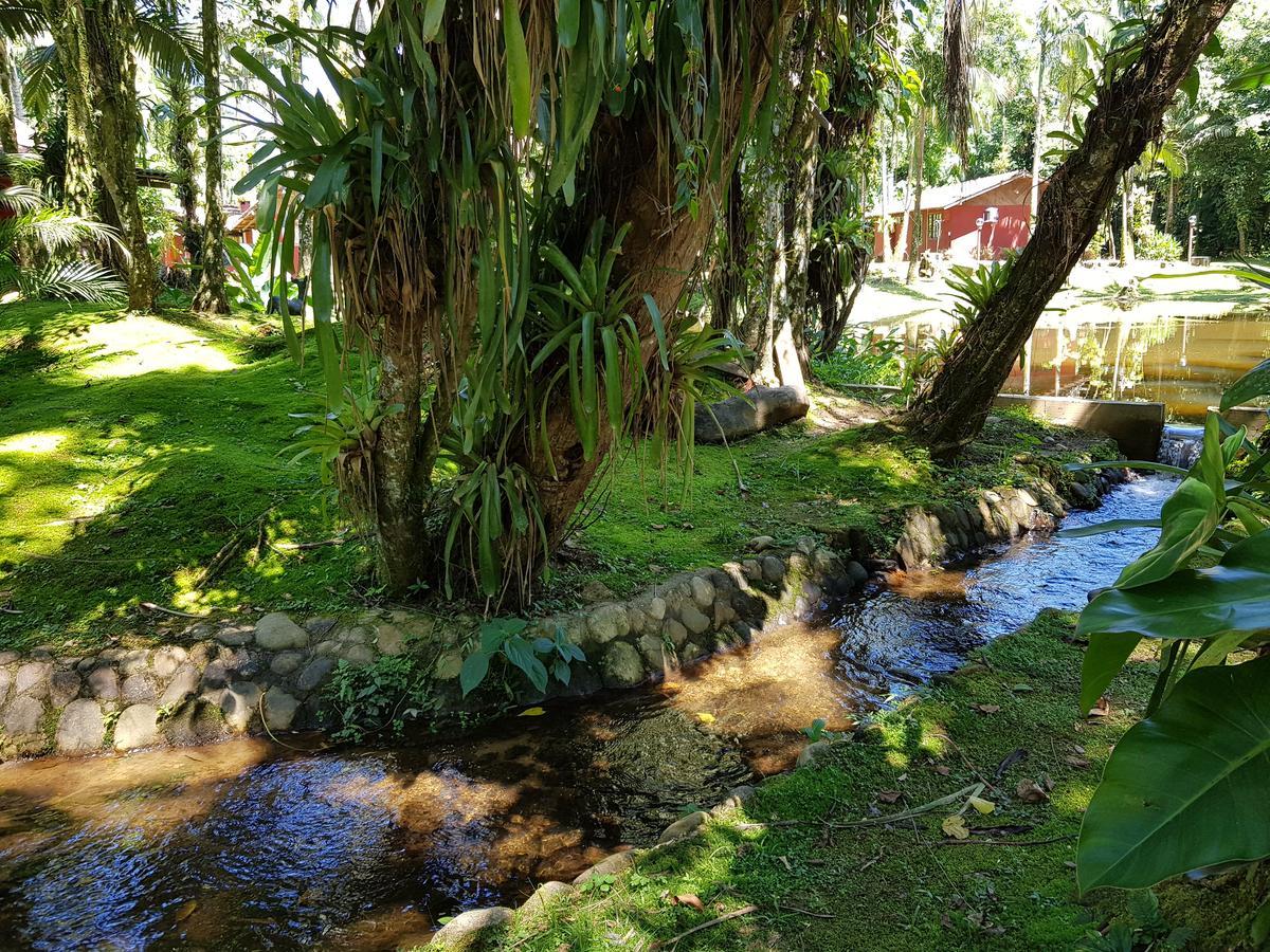 Pousada Hakuna Matata Curitiba Exterior foto
